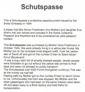 Explanation of Schutspasse